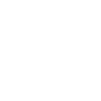 Icon 0